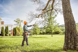 Best Lawn Dethatching  in Lebanon, TN