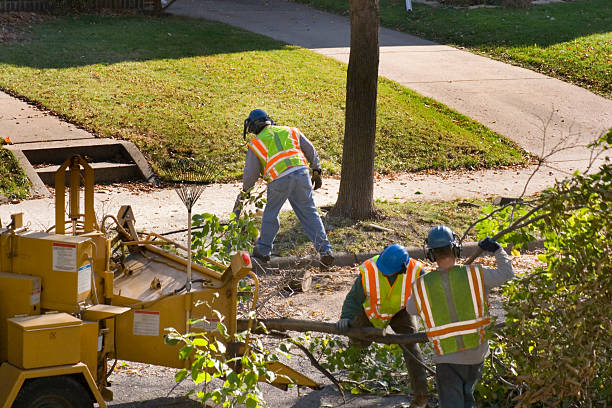 Best Soil Testing and Treatment  in Lebanon, TN