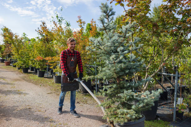 Best Lawn Watering Services  in Lebanon, TN